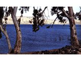 The Sea of Galilee on a calm day.